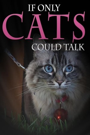 If Only Cats Could Talk