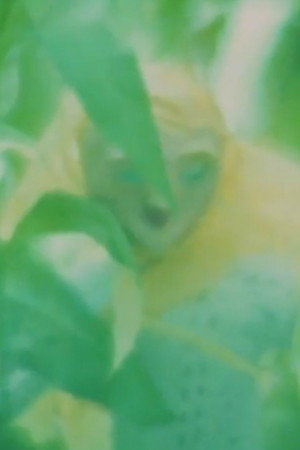 Demeter poster