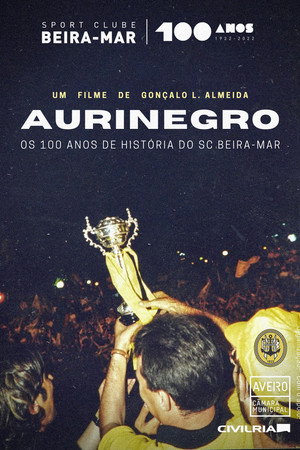 Aurinegro poster