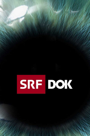 SRF DOK