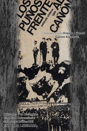 Fists Against the Cannon poster