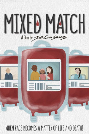 Mixed Match poster