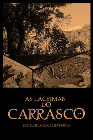 As Lágrimas do Carrasco As Lágrimas do Carrasco