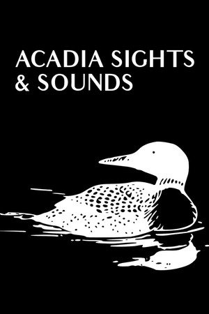 Acadia Sights & Sounds poster
