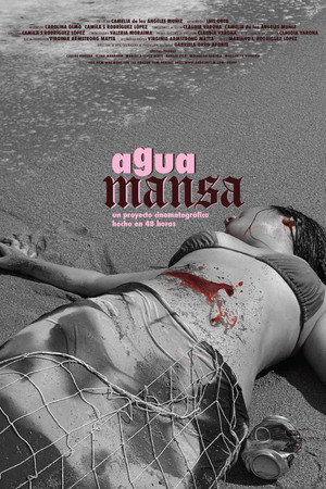 Agua Mansa