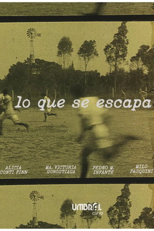 Lo que se escapa poster