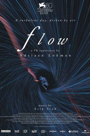 Flow VR poster