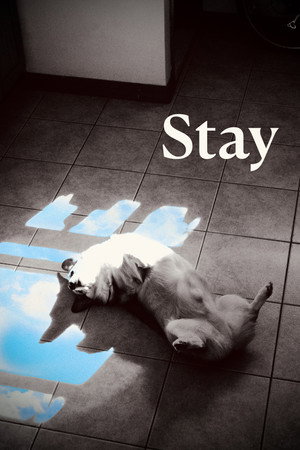 Stay Stay