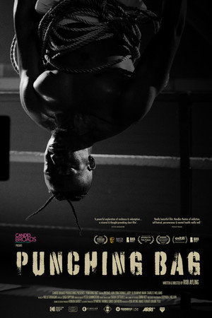 Punching Bag