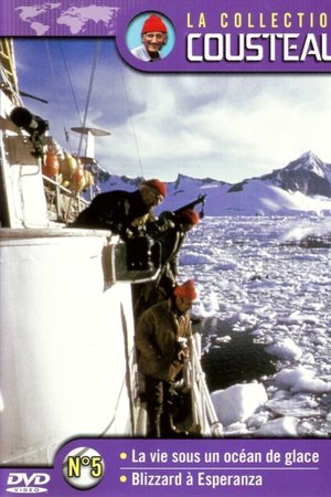 La collection Cousteau N°5 | La vie sous un océan de glace | Blizzard à Esperanza