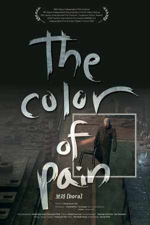 The Color of Pain poster
