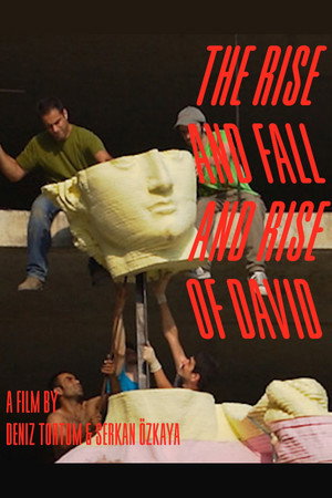 The Rise and Fall and Rise of David The Rise and Fall and Rise of David