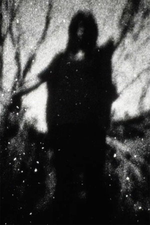 Signals poster