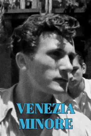 Venezia Minore poster