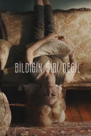 Bildiğin Gibi Değil Bildiğin Gibi Değil