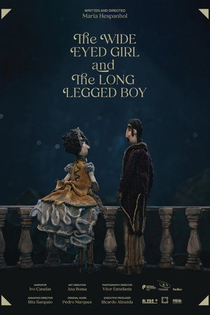 The Wide Eyed Girl and the Long Legged Boy poster