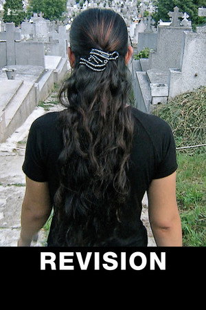 Revision poster