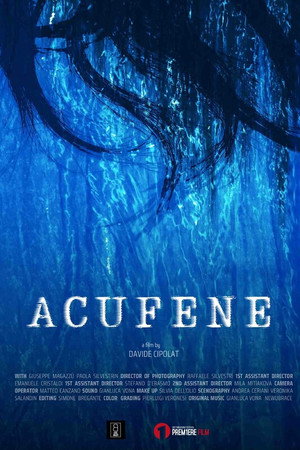 Acufene poster