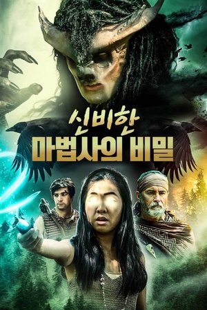 신비한 마법사의 비밀