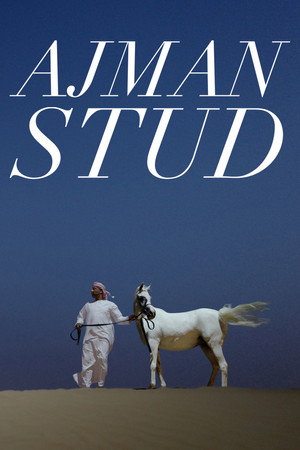Ajman Stud poster