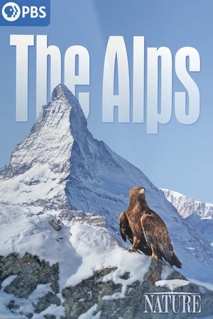 The Alps