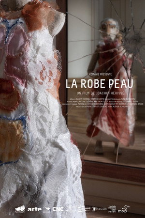 The Flesh Dress poster