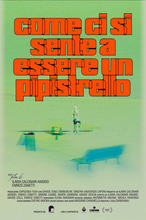 Come ci si sente a essere un pipistrello poster