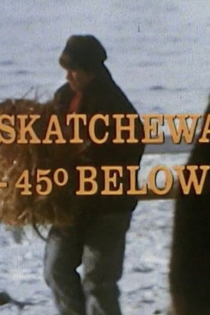 Saskatchewan: 45 Below poster