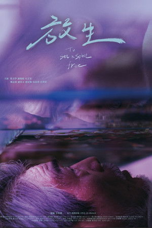 To Set a Spirit Free