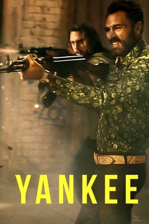 Yankee