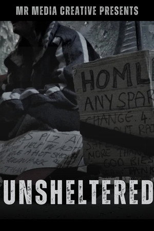 Unsheltered poster