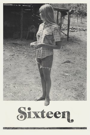 Sixteen