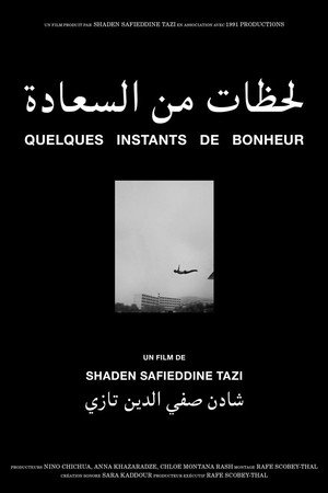 A Few Moments of Happiness poster