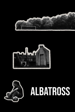 Albatross poster