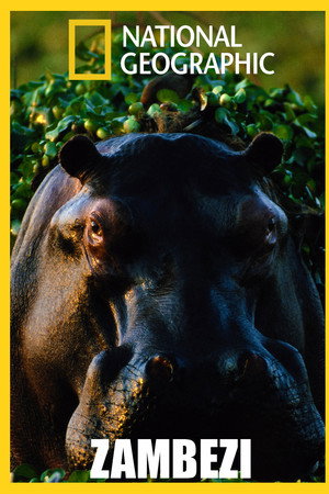 Zambezi