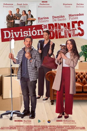División de Bienes