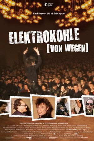 Elektrokohle (Von wegen) poster