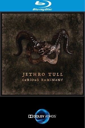 Jethro Tull - Curious Ruminant