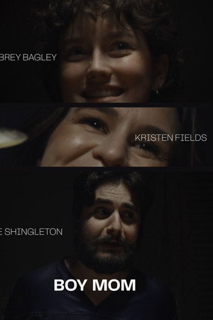 Boy Mom poster