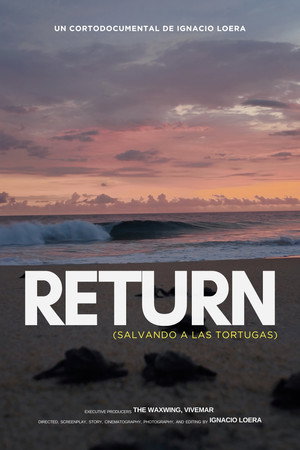 Return: Salvando a las Tortugas