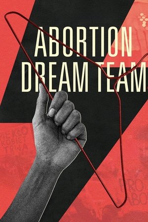 Abortion Dream Team