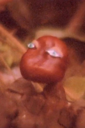 Conker poster