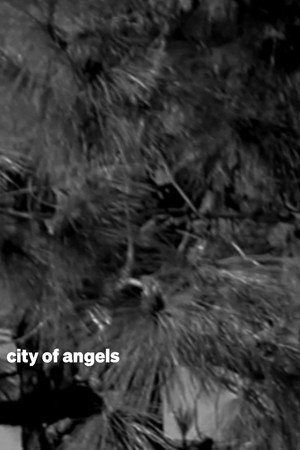 city of angels poster