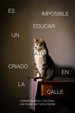 Es Imposible Educar Un Gato Criado en la Calle