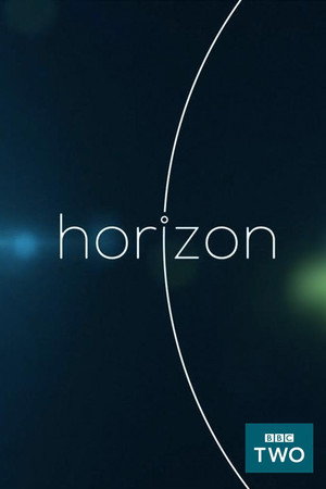 Horizon - Cosmic Dawn: The Real Moment of Creation