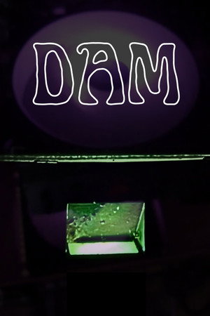 Dam poster