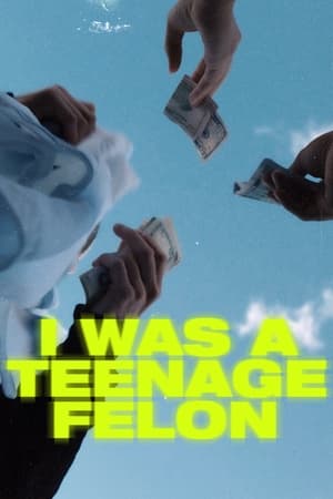 I Was a Teenage Felon I Was a Teenage Felon