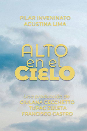High in the sky poster