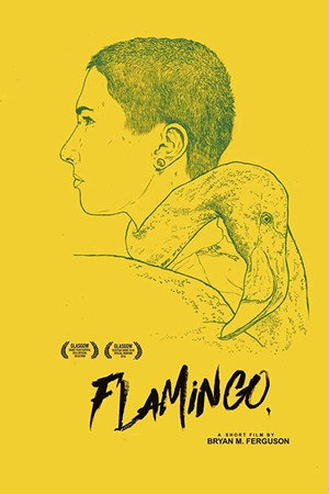Flamingo poster