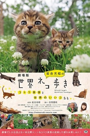 劇場版　岩合光昭の世界ネコ歩き　コトラ家族と世界のいいコたち